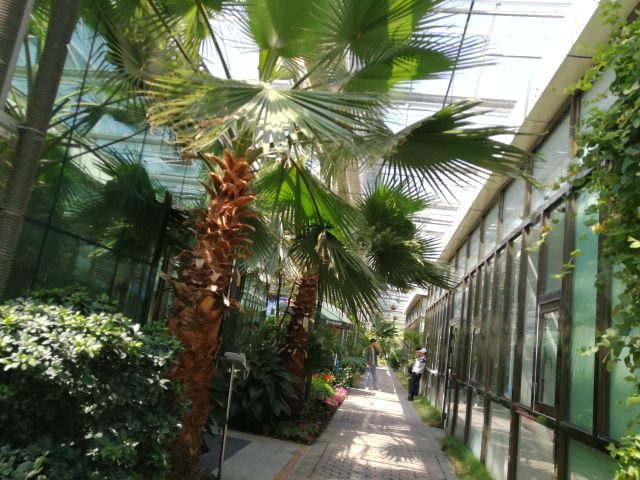 新疆农业博览园