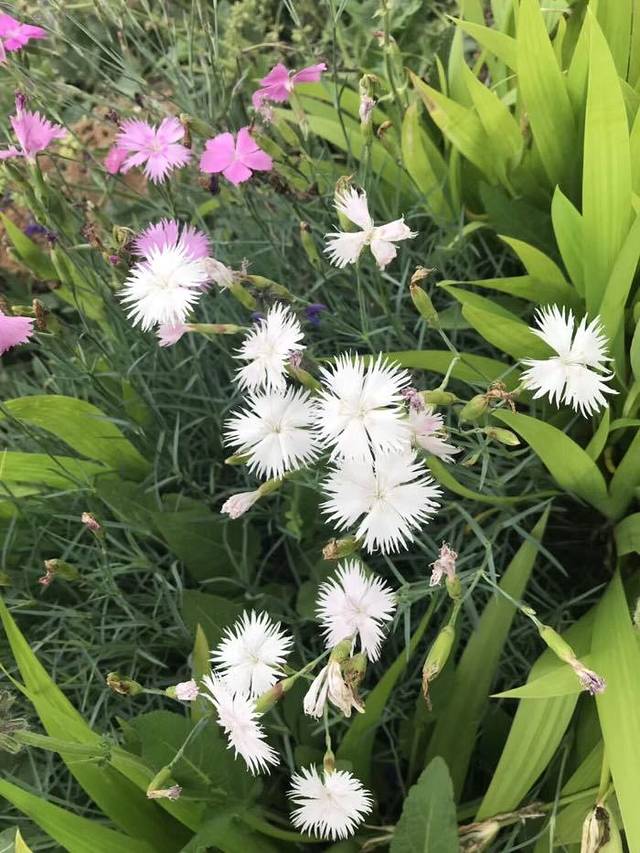 万安山山顶公园