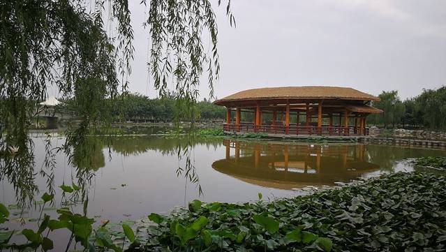 西安浐灞国家湿地公园