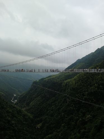 "...区一路风景超美，感觉挺好的，第一次和另一半体验玻璃桥，稍有点晃，增加了刺激感，适合周末放松一下_灵江源森林公园"的评论图片