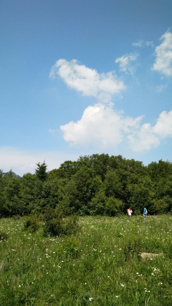 门头沟百花山自然保护区