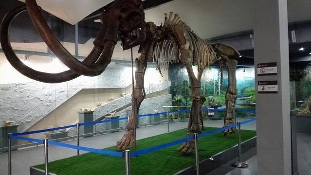 武汉中华奇石馆