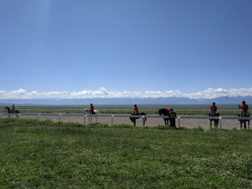 昭苏天马文化园