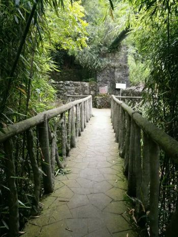 古潮音洞风景区