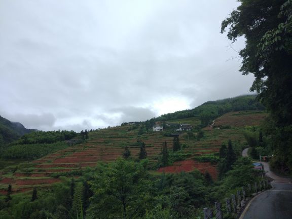 四川画稿溪国家级自然保护区