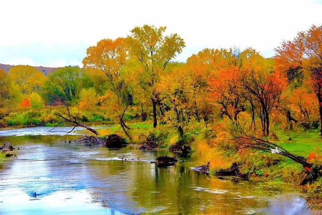 新青国家湿地公园