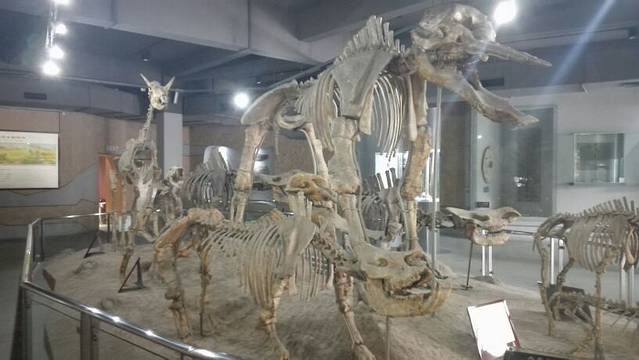 武汉中华奇石馆