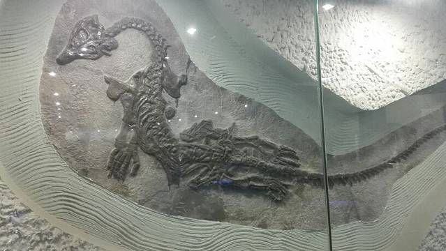 武汉中华奇石馆