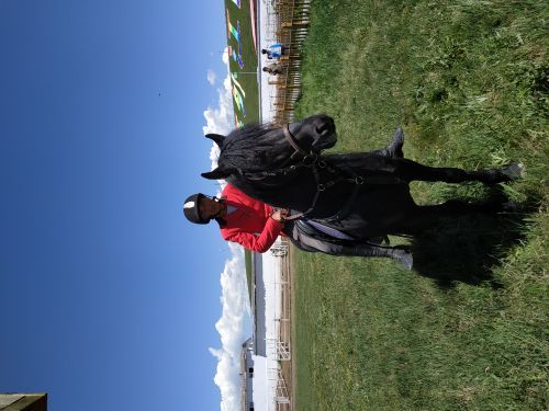 昭苏天马文化园