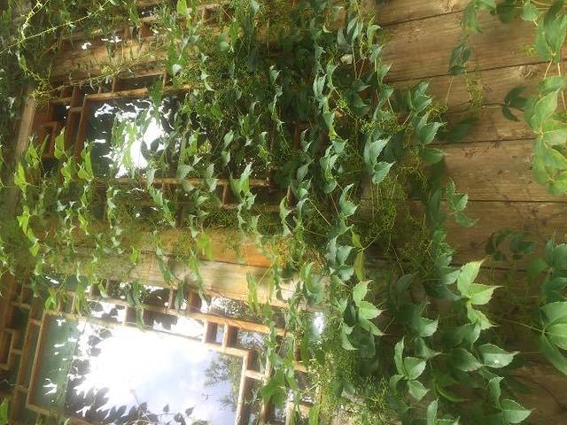 泰顺大峡谷温泉