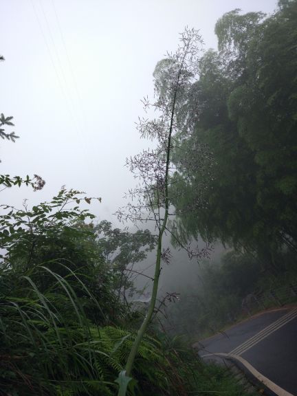 四川画稿溪国家级自然保护区