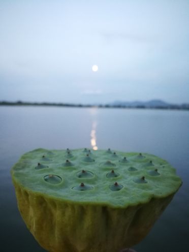 石田古驿生态景区