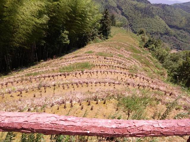 上堡大峡谷漂流