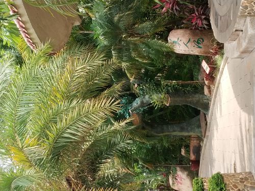 漳州云顶温泉SPA主题公园