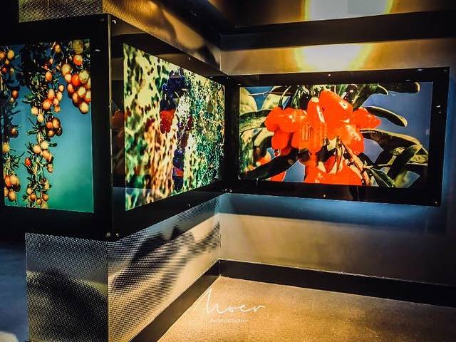 宁夏枸杞博物馆