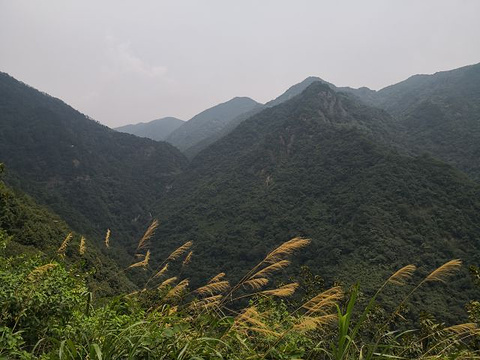 东天目山景区旅游景点攻略图