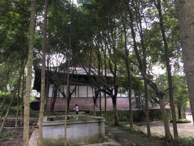 观音寺
