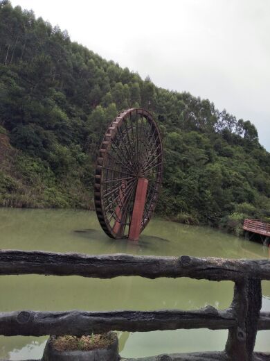 紫莲森林度假村