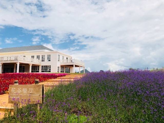雪山花海乐园