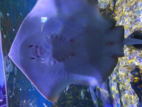 中赫海豚湾海洋公园