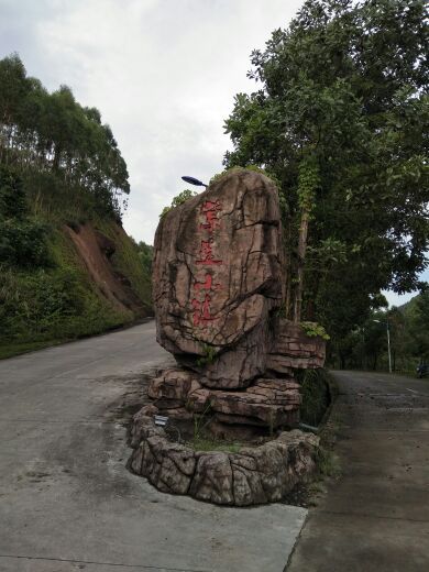 紫莲森林度假村