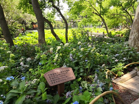 醉白池旅游景点图片