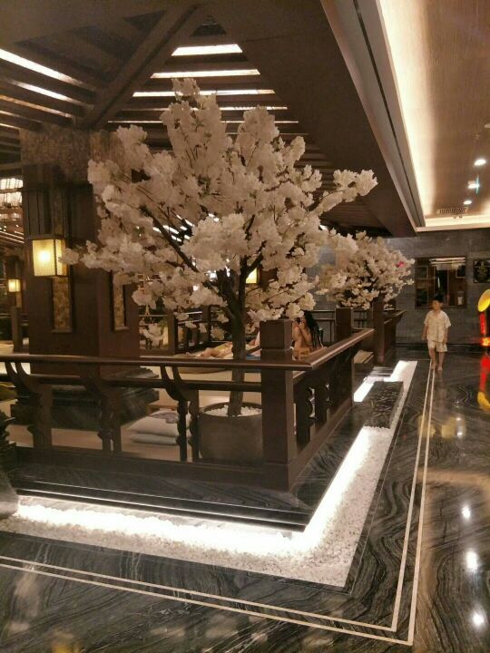 三鼎园国际酒店温泉