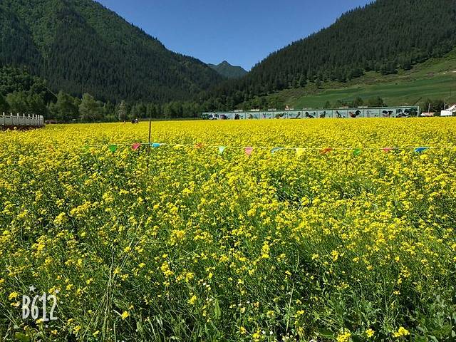 扁都口生态休闲旅游区