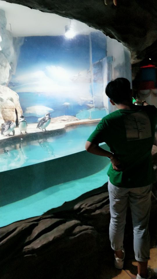 盐城海昌海洋探索馆