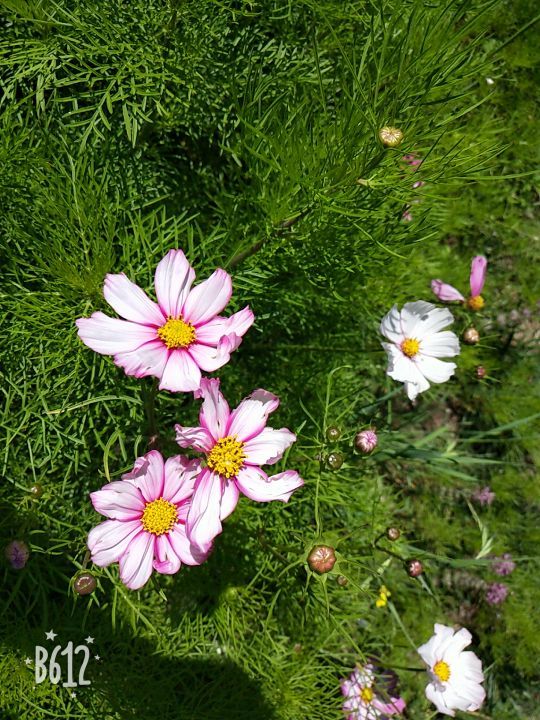 扁都口生态休闲旅游区