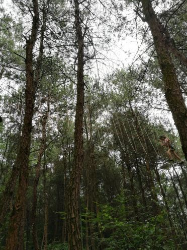 飞越丛林探险乐园