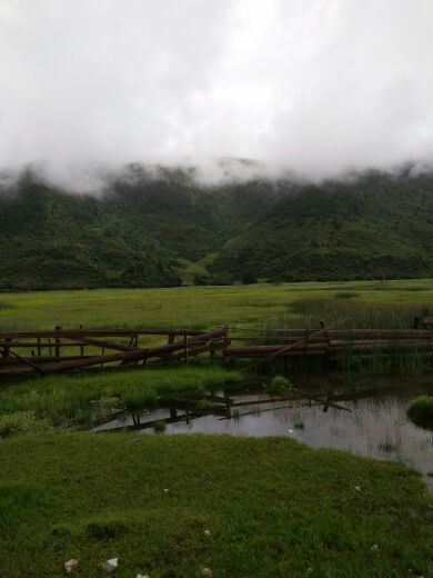 纳帕海归青草原