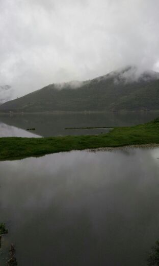 纳帕海归青草原