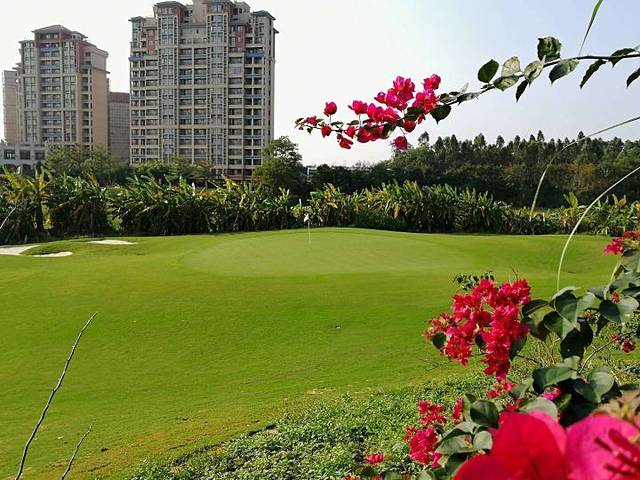 美浪湾高尔夫球会