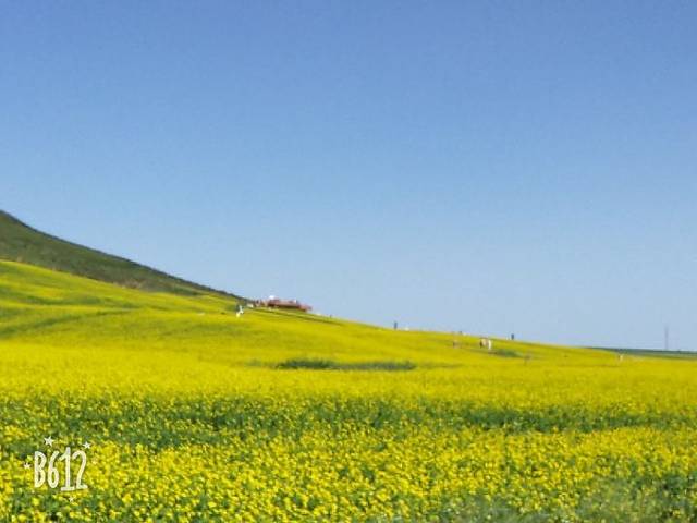 扁都口生态休闲旅游区