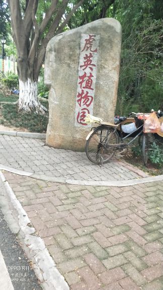 东莞虎英郊野公园