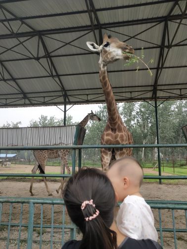 海滨国家森林公园