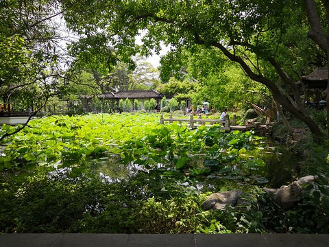 醉白池旅游景点图片