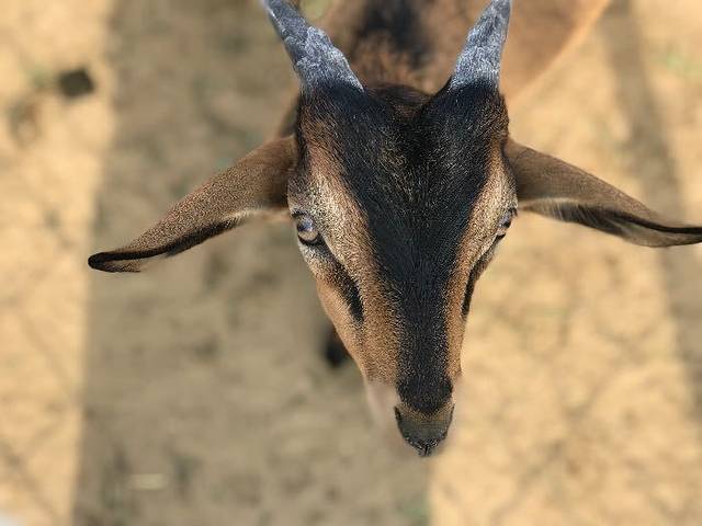 沈阳宝岛阿美族热带农业博览园