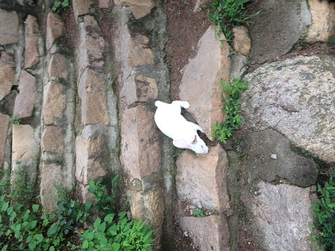 碣石山景区旅游景点图片