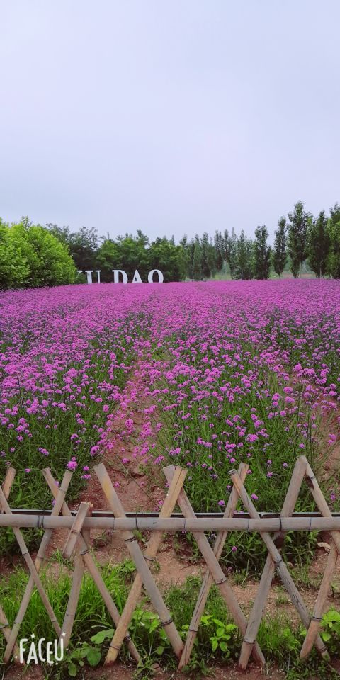 菲奢尔海景温泉