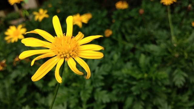 重庆世纪乐都游乐园