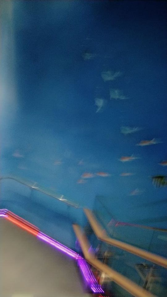 盐城海昌海洋探索馆