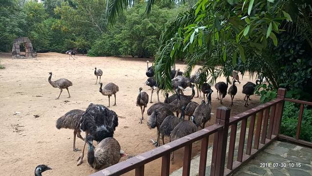 海南热带飞禽世界