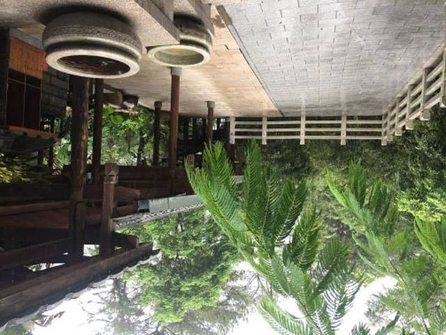 旗山森林温泉度假村