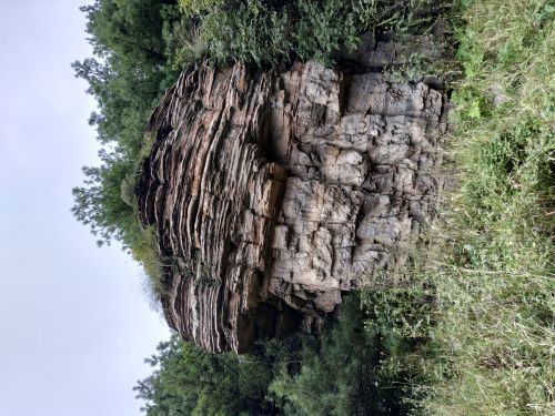 沁水历山国家森林公园