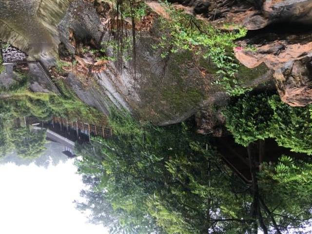 旗山森林温泉度假村