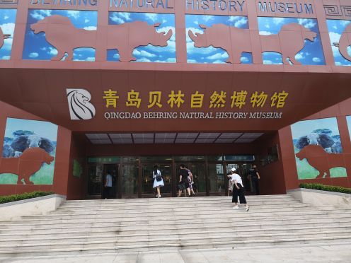 贝林自然博物馆