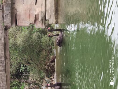 阳坝自然风景区