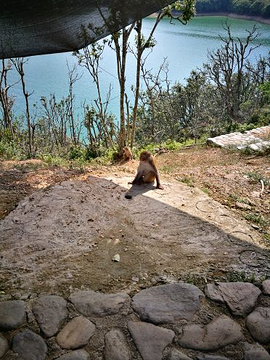 太平湖旅游景点攻略图